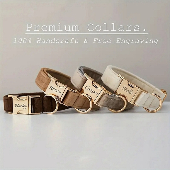 ♥︎ Personally Engraved Premium Velvet Dog Collar ♥︎ - Picture 2 of 8